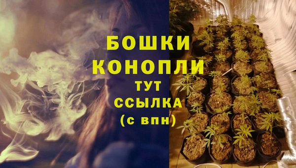дурь Каменногорск