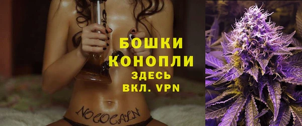дурь Каменногорск
